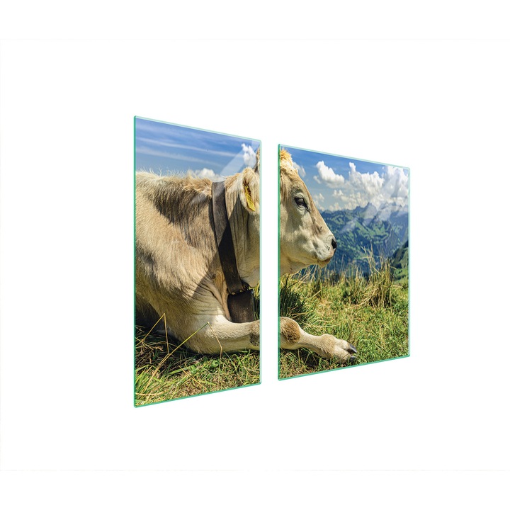 Üveg tűzhelyvédő lap 30x60x52 cm, TMK ArtDeko, modern design, könnyen tisztítható, átlátszó