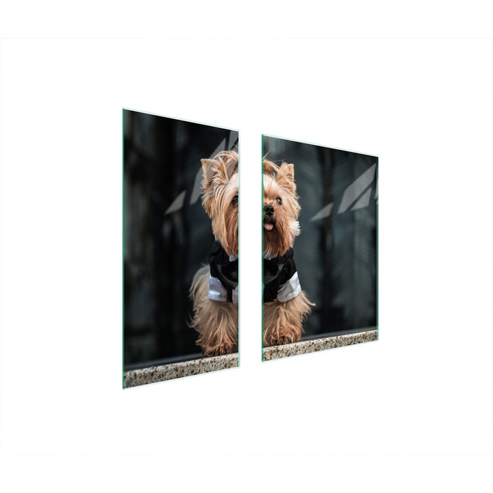 Üveg védőlap, TMK ArtDeko, 40x35x52 cm, modern design, multifunkcionális