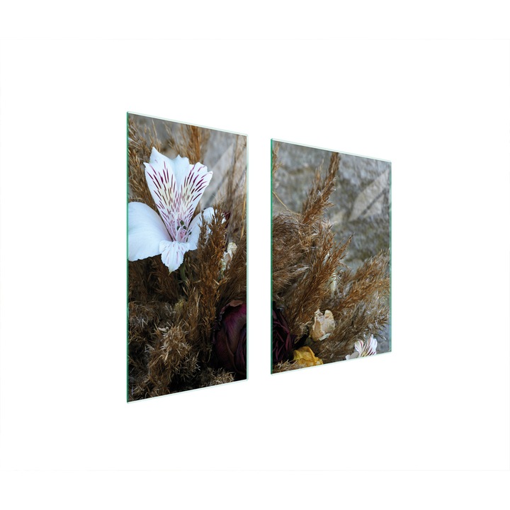 Set 2 placi de protectie aragaz, TMK ArtDeko, sticla, 75x52cm, multicolor