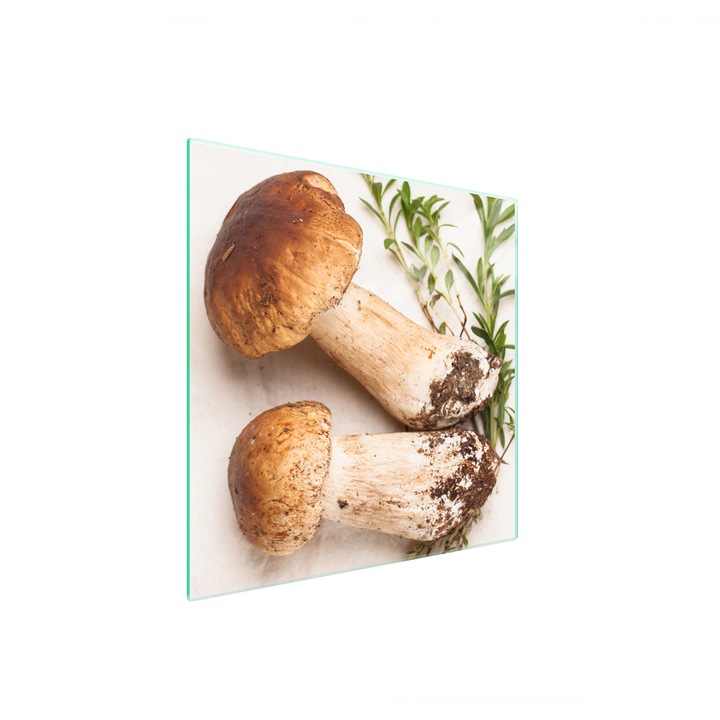 Стъклена защитна плоча за готварска печка TMK ArtDeko, 50x52 см, дизайн гъби, многофункционална