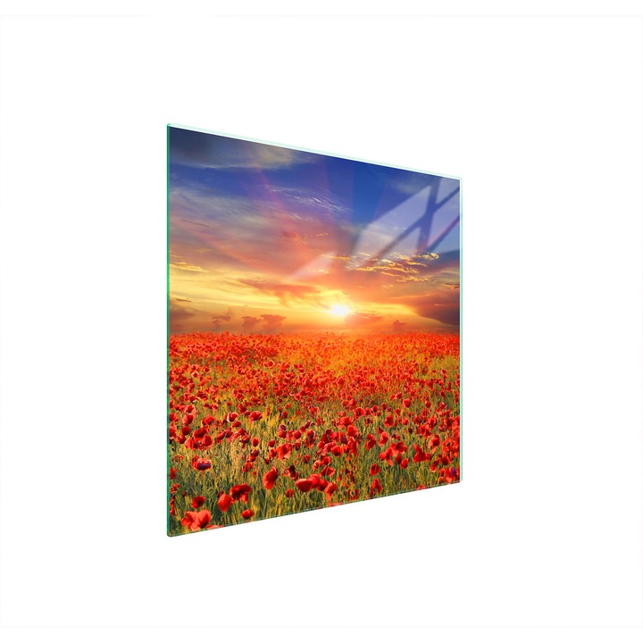 Стъклена защитна плоча за готварска печка TMK ArtDeko 50x52 см, модерен дизайн, многоцветна