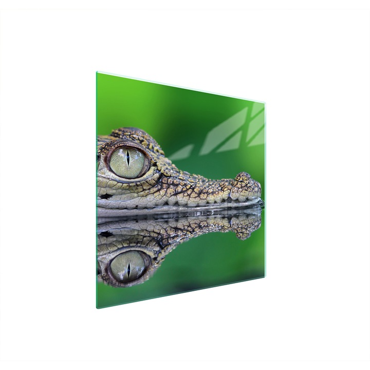 Защитна стъклена плоча за готварска печка TMK ArtDeko 50x52 см, дизайн крокодил, мултифункционална