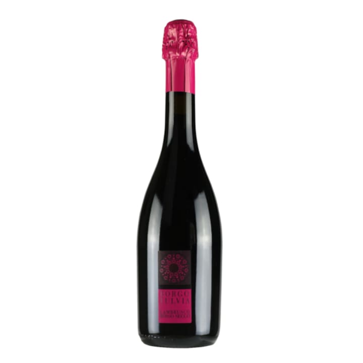Vin Borgofulvia Lambrusco Emilia IGT rosu sec frizante 11% 0.75l