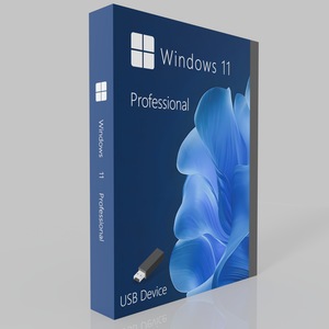Microsoft® Windows 11 PRO Retail si Office 2024 Pro Plus, Toate