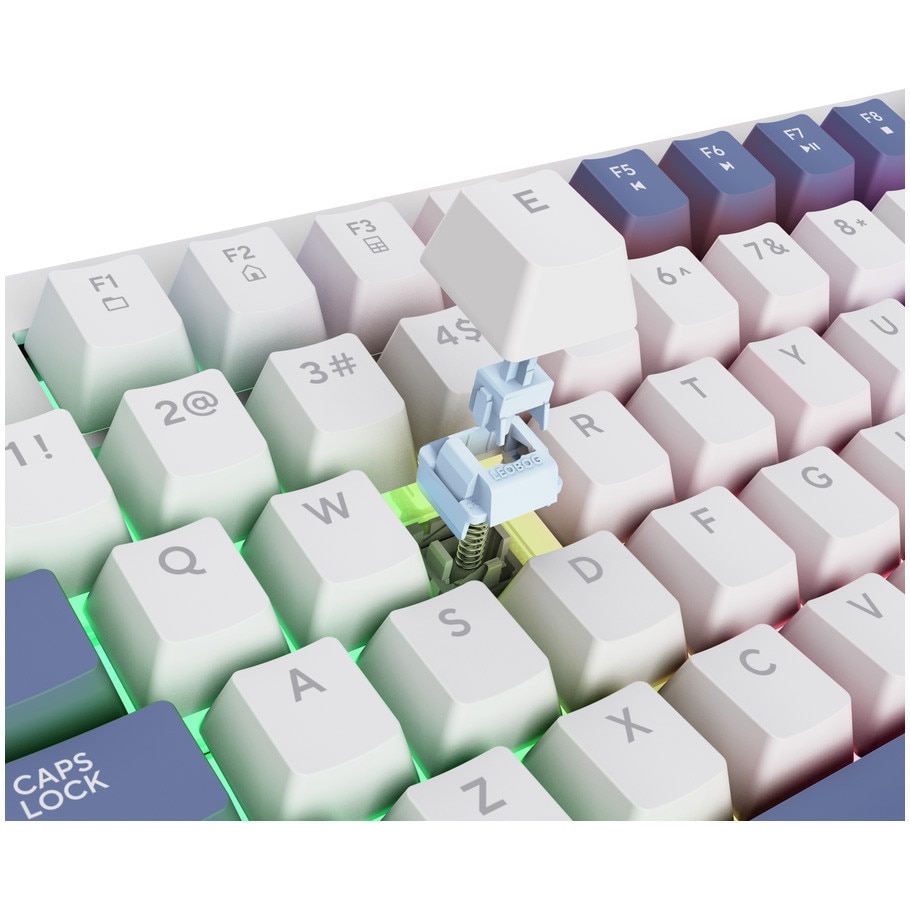 Tastatura mecanica cu fir GXTrust 872 Xyra TKL, 80%, iluminare din