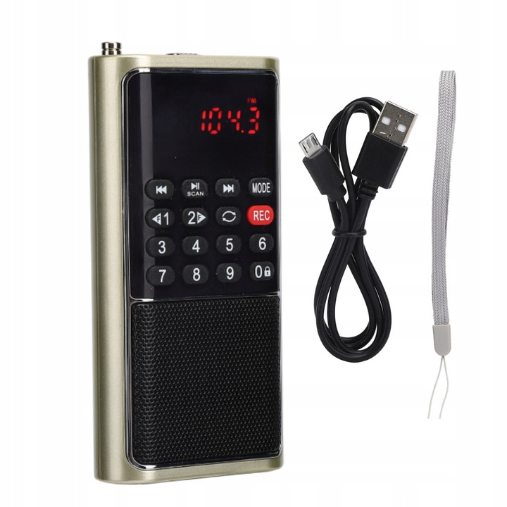 Radio portabil FM L-338, auriu, cu suport USB si casti 3,5 mm, acumulator 700 mAh
