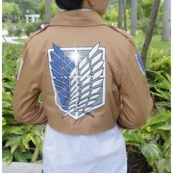 Jacheta, DKM, Cosplay Attack on Titan, M, roz, bumbac/microfibra