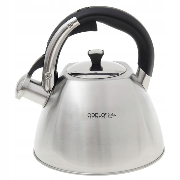 Ceainic Galicja ARNOLD 2.8L inox, maner negru ergonomic, capac detasabil, 24x22x22cm
