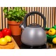 Ceainic inox 2.7L cu fluier, Ofenbach, maner ergonomic soft-touch, gaz si inductie