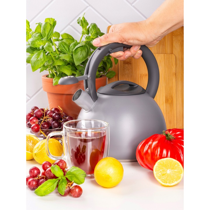 Ceainic inox 2.7L cu fluier, Ofenbach, maner ergonomic soft-touch, gaz si inductie