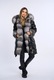 Parka de vulpe, Alb
