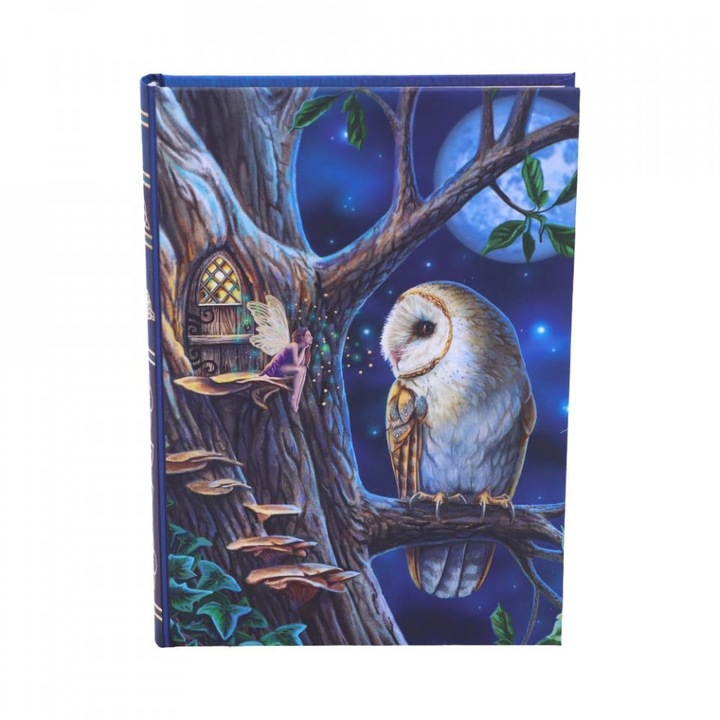 Napirend / Füzet keménykötésű borítóval, bagoly, Lisa Parker, 17 cm