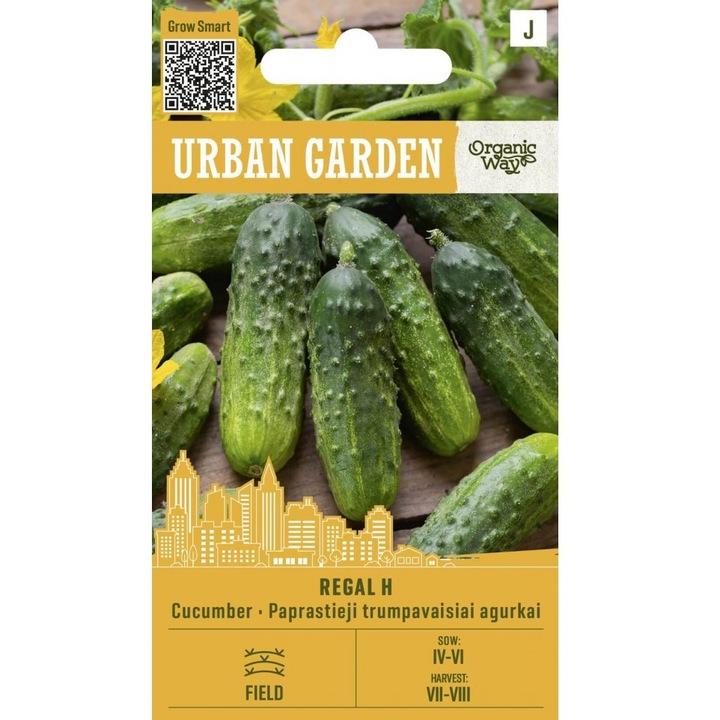 Seminte, Castraveti Regal H, Urban Garden, plic, 30 seminte