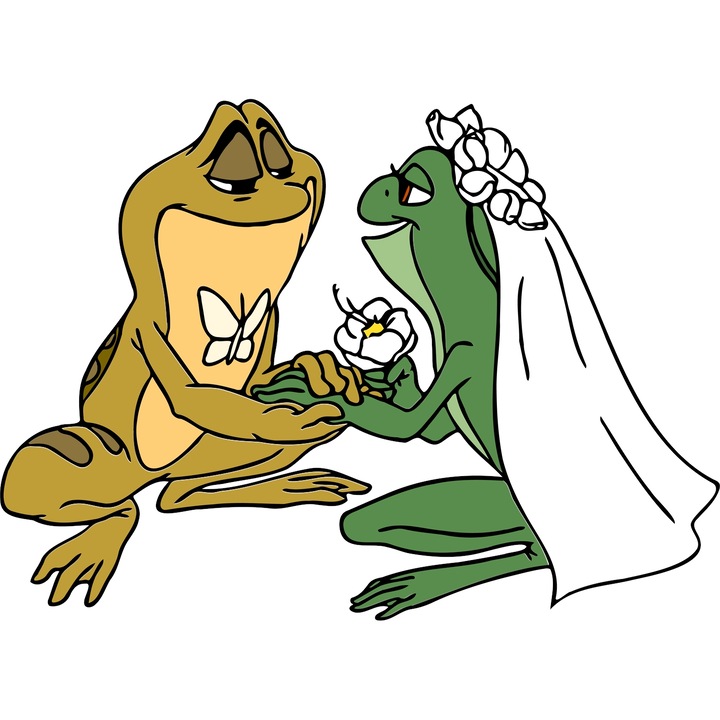 Sticker Adeziv Cu Printesa si Broscoiu Printul Naveen – Inima Aventurii Vesela – Prietenie, Emotie si Aventura, cu Margini Albe, PVC Vinyl 90CM