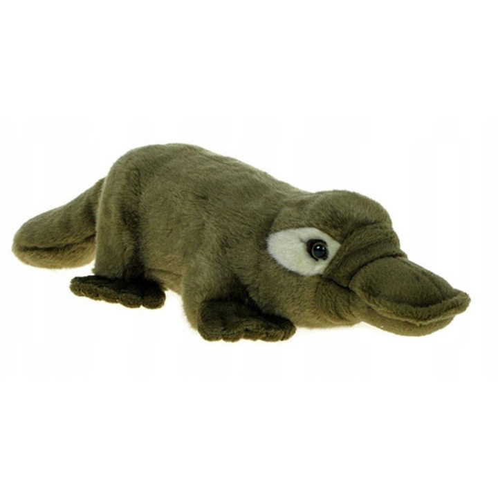 Jucarie de Plus Ornitorinc ZOO 36cm