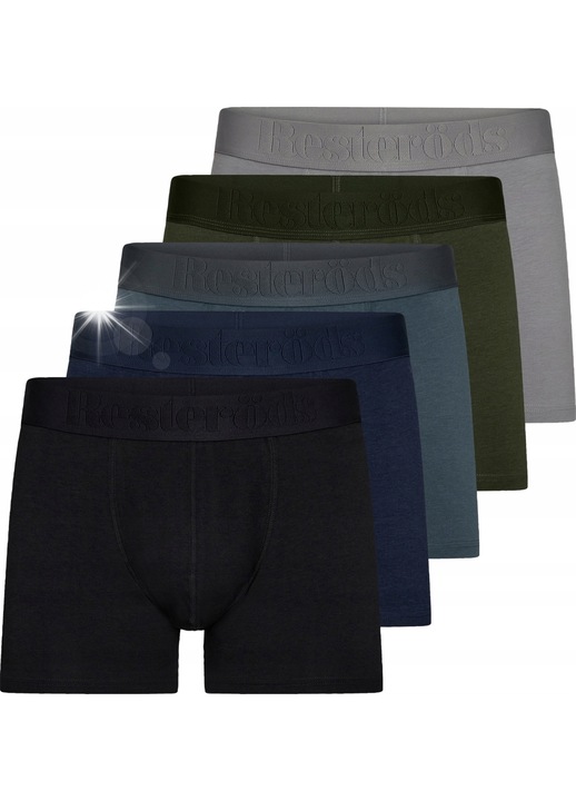 Комплект мъжки боксерки Resterods, 5 броя, екологичен бамбук, удобни, многоцветни, S INTL