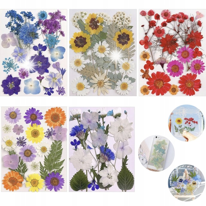 100 darabos vegyes természetes préselt virág és szárított levél készlet DIY projektekhez, változatos színekben