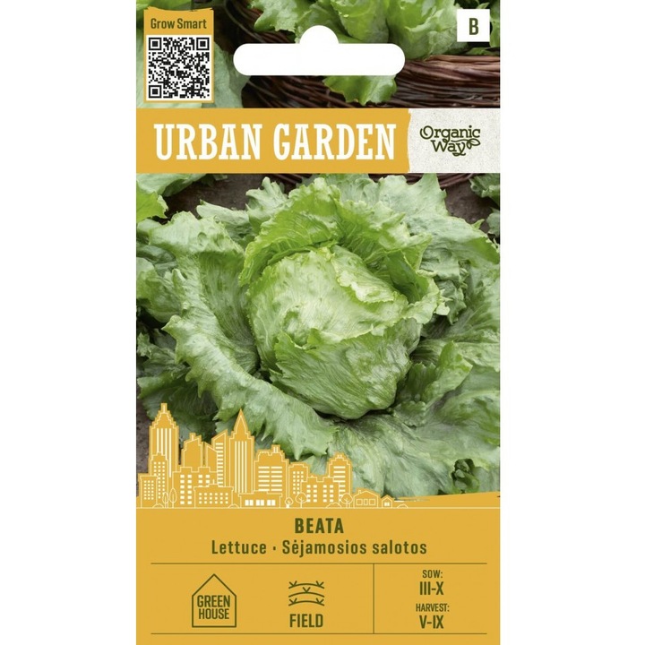 Seminte, Salata Beata, Urban Garden, plic, 1 gram