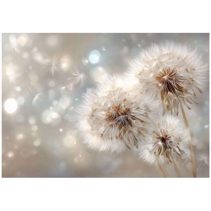 Fotótapéta, Pitypang, Bézs, 150x105 cm, Modern, Vlies, Tapéta, Hálószobába, Szobába, Nappaliba, Falra, Dekoráció, 16160VX3