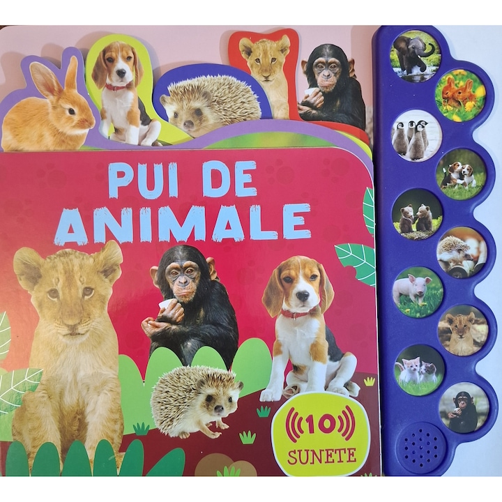 Pui de animale, cu sunete