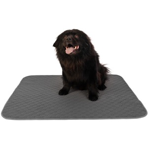 Asternuturi si substraturi