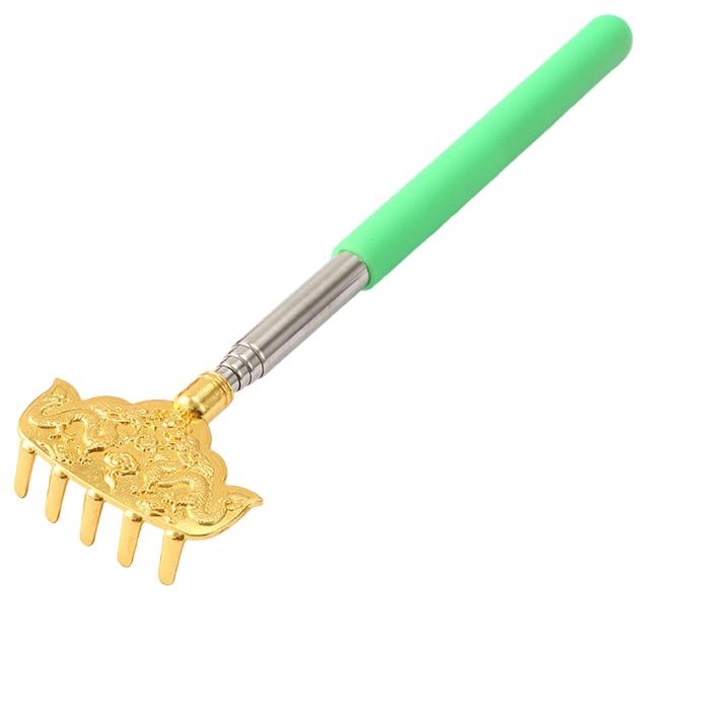 Dispozitiv scarpinare spate, inox, portabil, verde/auriu