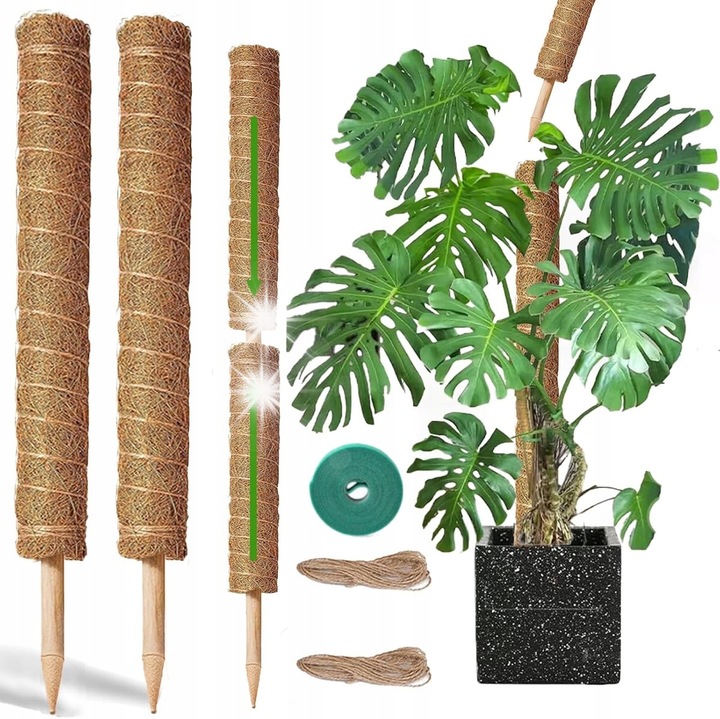 Set 2 suporturi pentru plante BOTC, 16.5" cu extensie pana la 52", material cocos si lemn de eucalipt