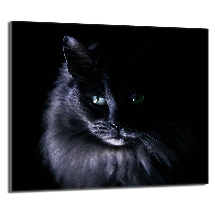 Placa de protectie din sticla pentru aragaz 60x52 TMK ArtDeko, rezistenta la temperaturi, design modern