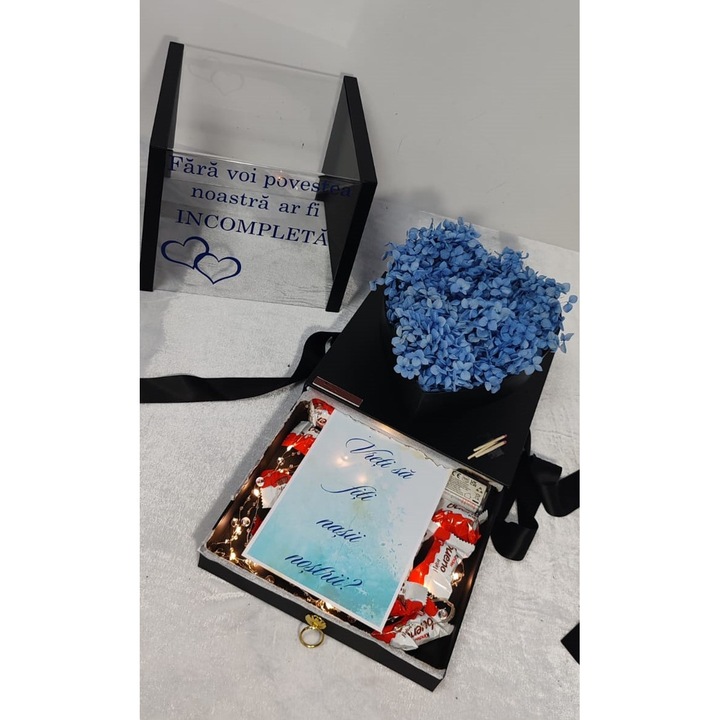 Cutie Cadou „Vreti sa fiti nasii nostri?”