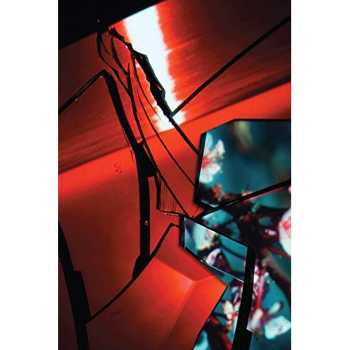 TV on the Radio: Nine Types of Light [DVD]