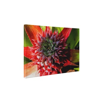 Frunze de ananas - Tablou Canvas - 65x85 cm Frunze de ananas - Tablou Canvas - 65x85 cm