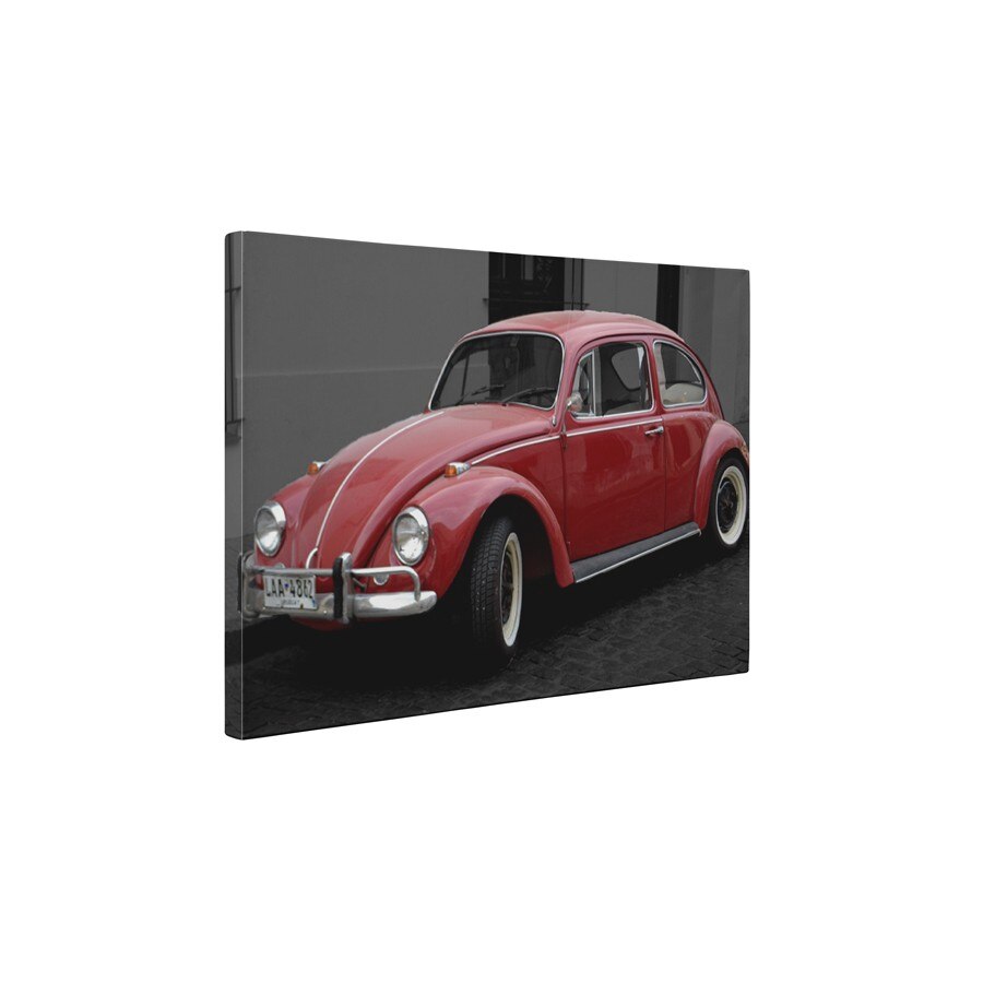 Beetle rosu - Tablou Canvas - 60x75 cm