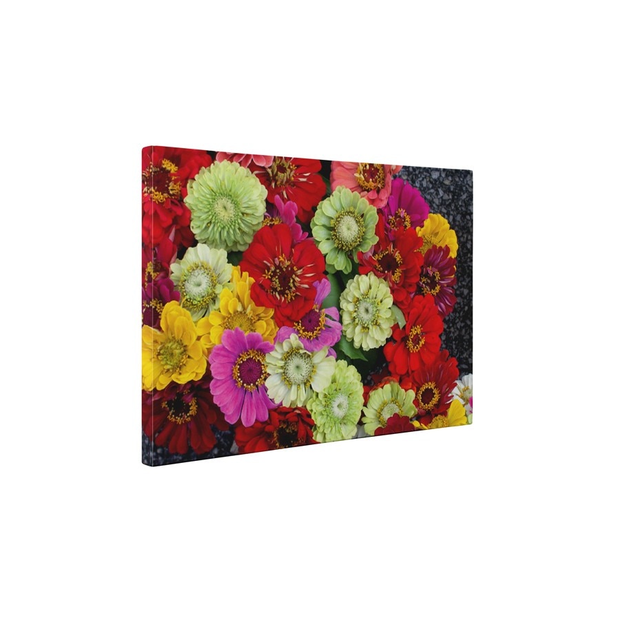 Buchet de flori colorate - Tablou Canvas - 60x75 cm