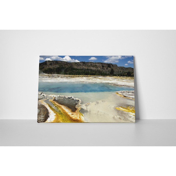 Parcul National Yellowstone - Tablou Canvas - 60x80 cm