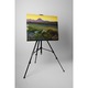 Drum in mijlocul Arizonei - Tablou Canvas - 60x80 cm