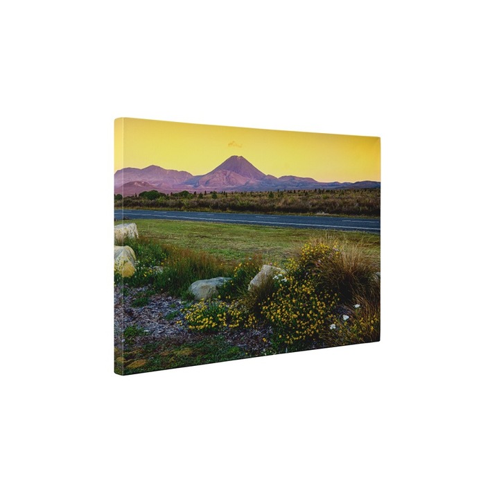 Drum in mijlocul Arizonei - Tablou Canvas - 60x80 cm