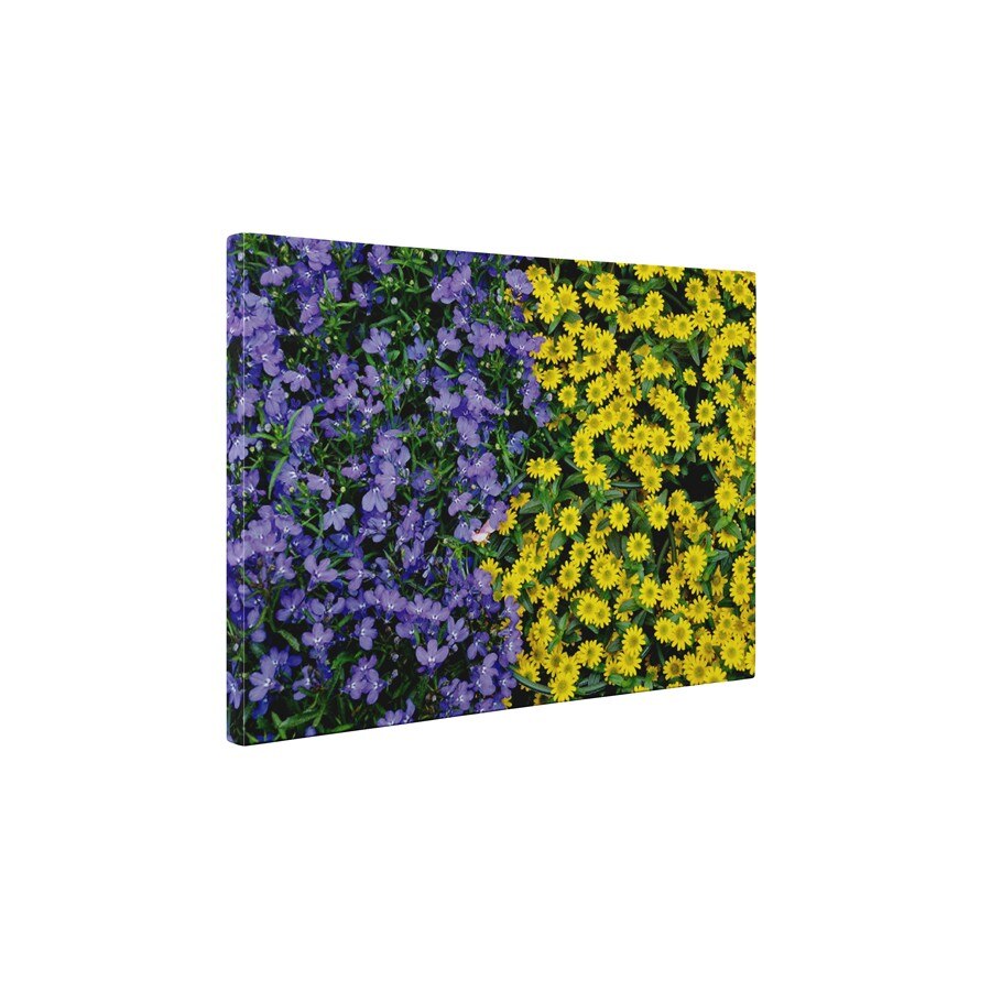 Covor de flori - Tablou Canvas - 60x75 cm