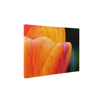 Petale - Tablou Canvas - 50x65 cm Petale - Tablou Canvas - 50x65 cm