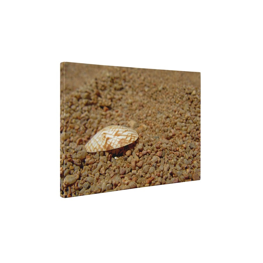 Scoica si pietris - Tablou Canvas - 60x75 cm