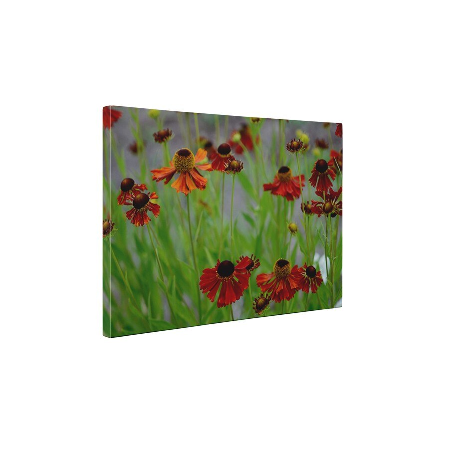 Flori uscate - Tablou Canvas - 45x60 cm