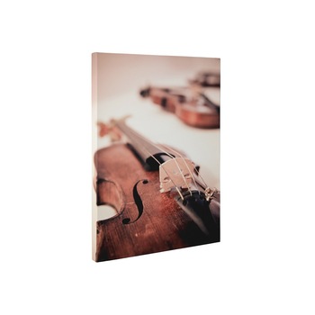 Vioara - Tablou Canvas - 60x80 cm Vioara - Tablou Canvas - 60x80 cm