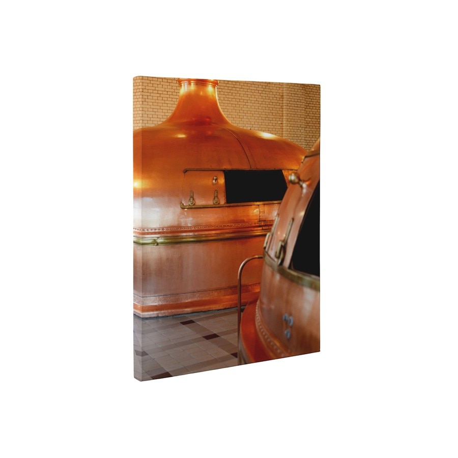 Rezervoare de cupru - Tablou Canvas - 45x60 cm