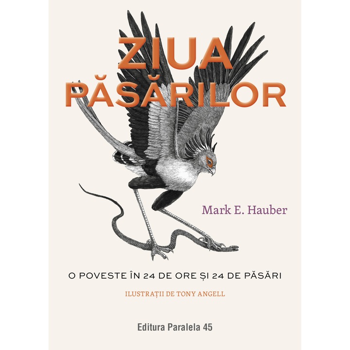 Ziua pasarilor. O poveste in 24 de ore si 24 de pasari, Hauber
