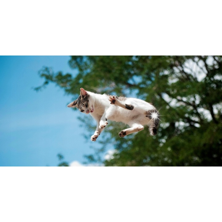 Penar scolar tuba kwadratowa holografic, argintiu, foarte incapator