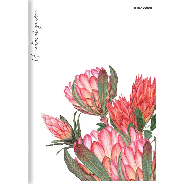 A5 füzet 32 lap, Hamelin, vegyes borító, 70g/m2, vonalas