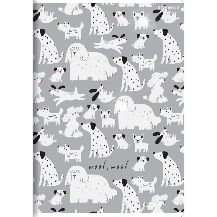 Hamelin füzetkészlet, 10 darab, A5, 32 oldal, laminált borító, többszínű