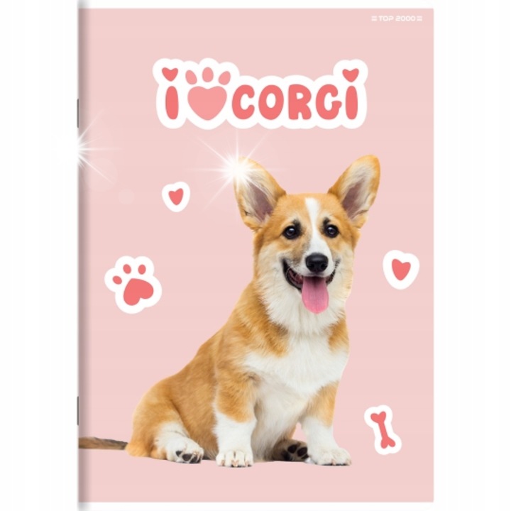 Hamelin A5 32 lapos füzet szett, 10 darab, karton borító, szegéllyel, 60 g/m2