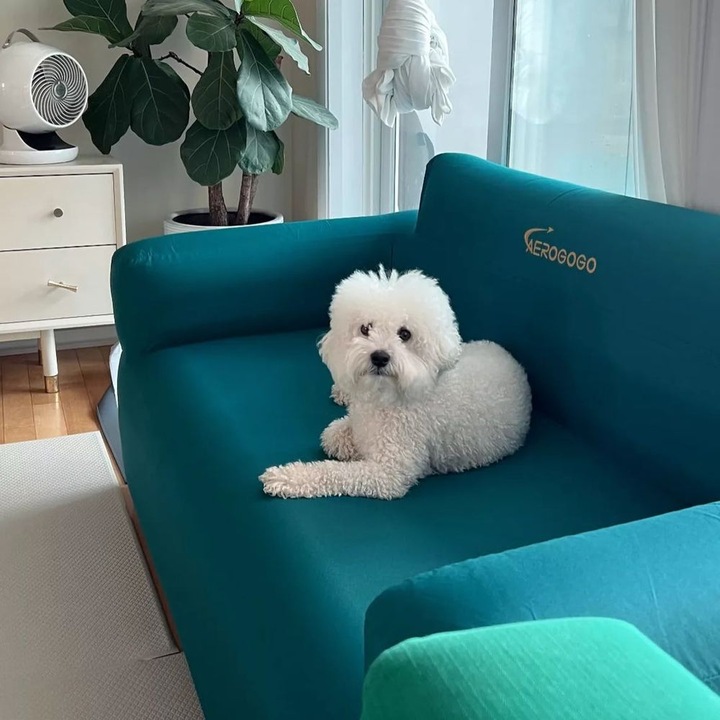 Надуваем фотьойл Aerogogo, с електрическа помпа, ергономичен дизайн, водоустойчив материал, 150 кг, 300D полиестер, многоцветен