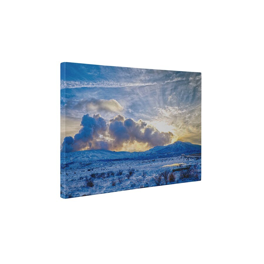 Natura inghetata - Tablou Canvas - 30x40 cm