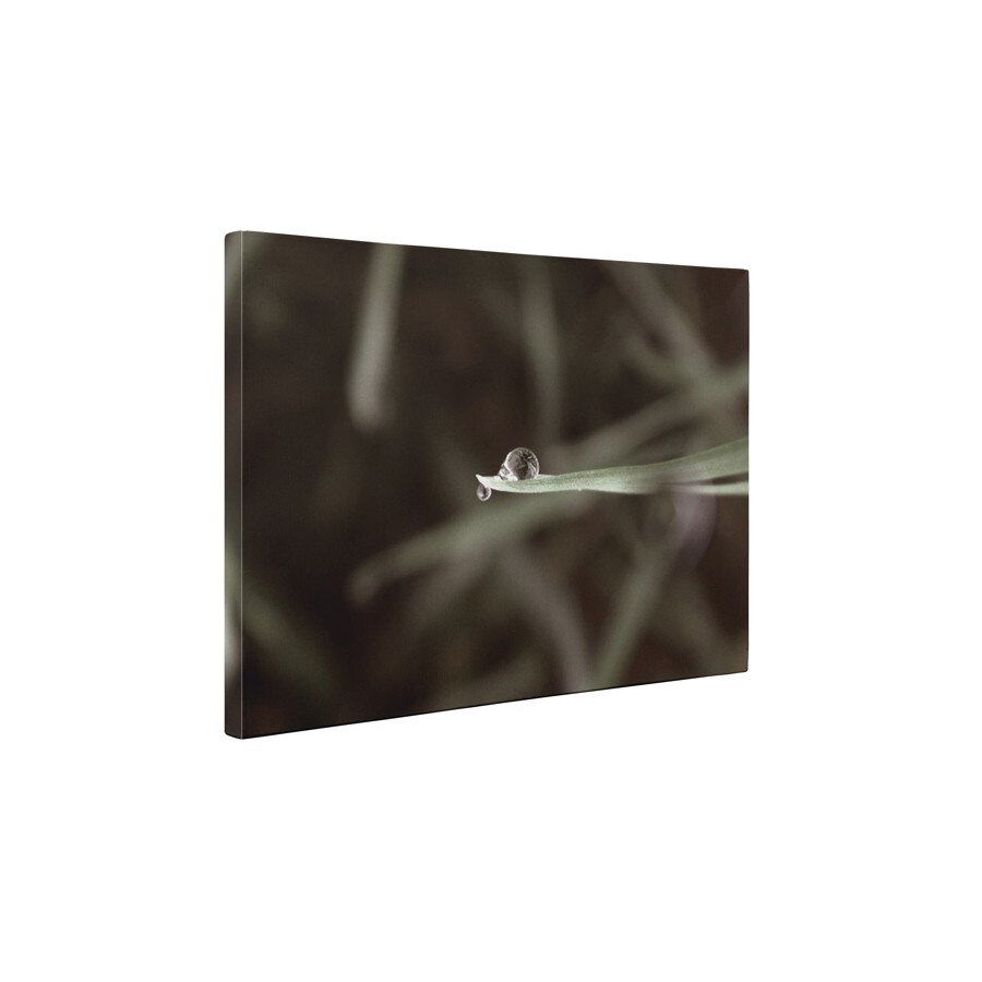 Un strop de apa - Tablou Canvas - 35x45 cm